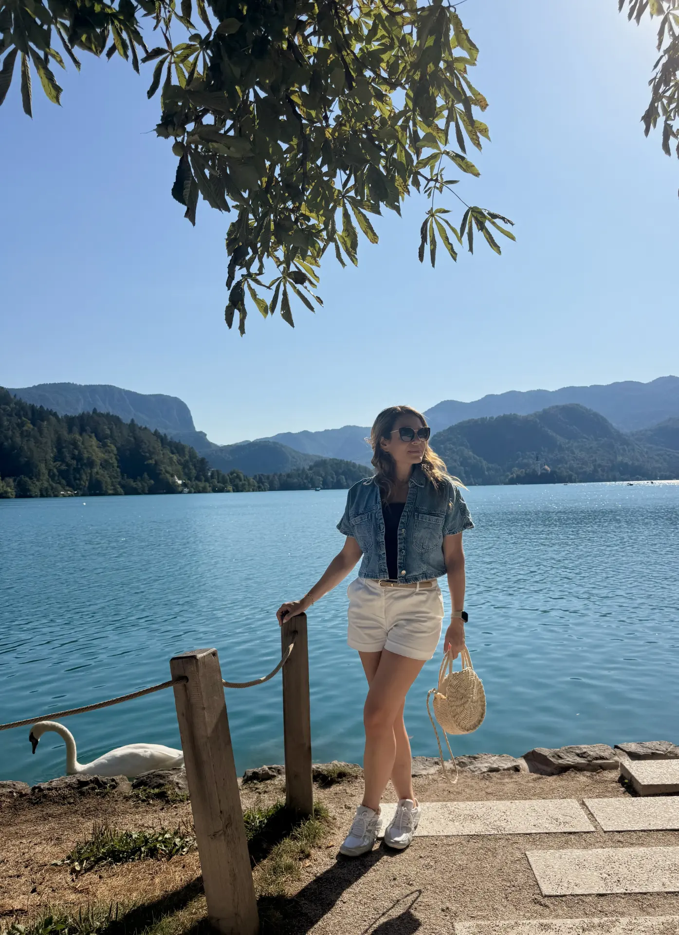 Lake Bled with the island church and a pletna boat, Slovenia