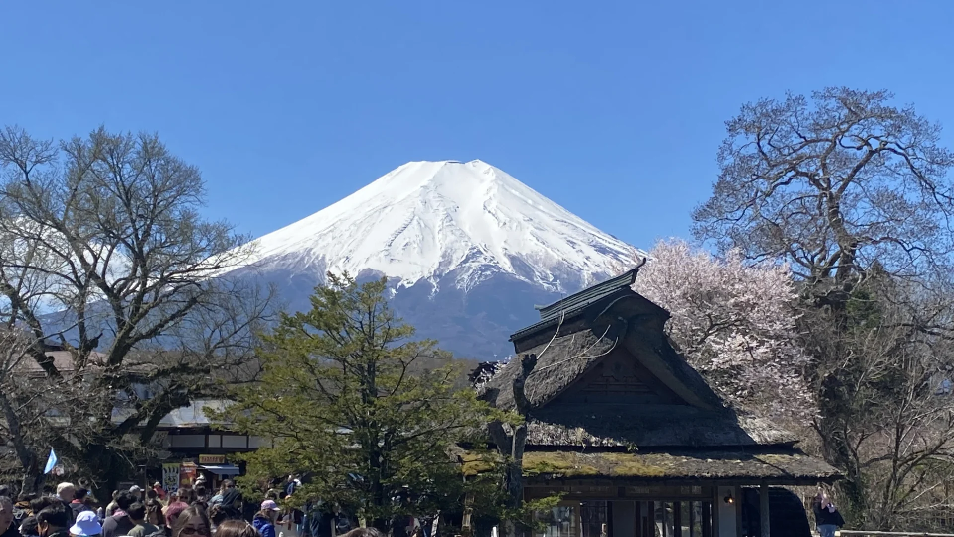 The First Timer’s Guide to Japan: Tokyo, Kyoto and Osaka
