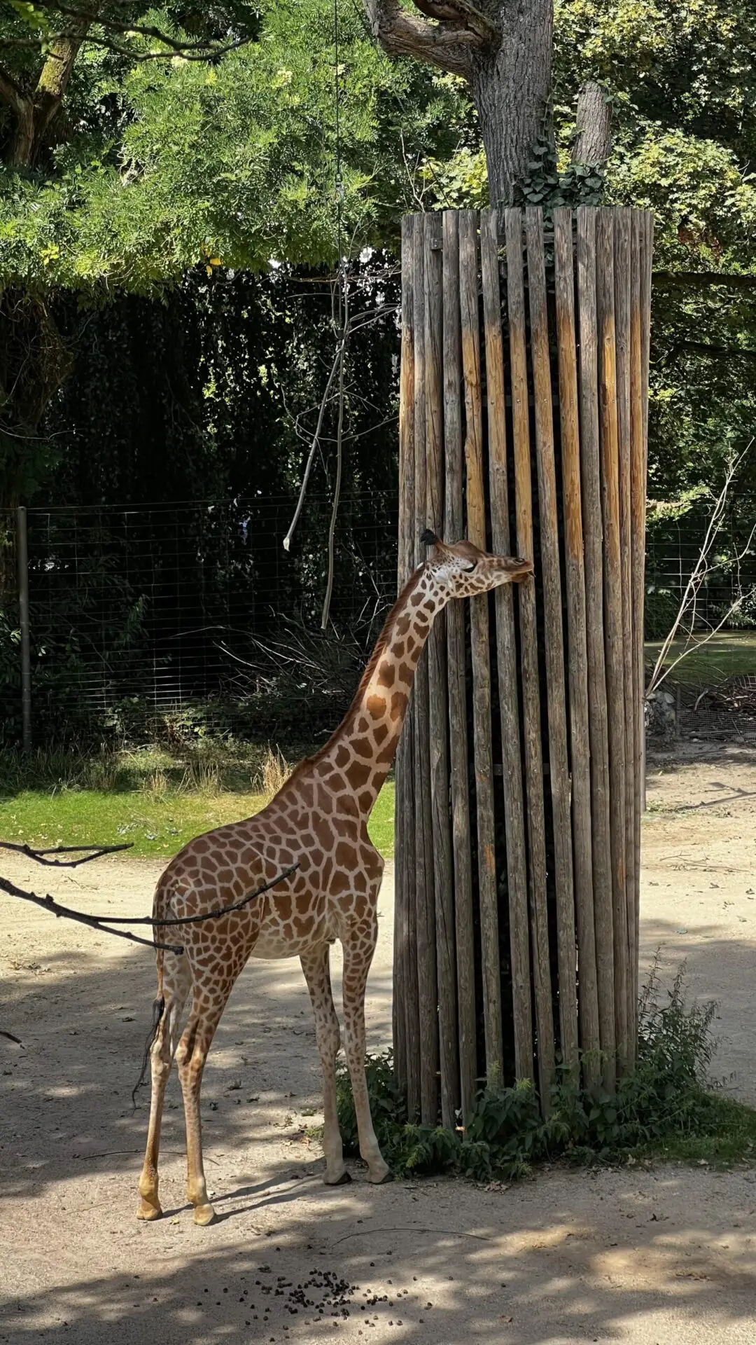 Basel zoo