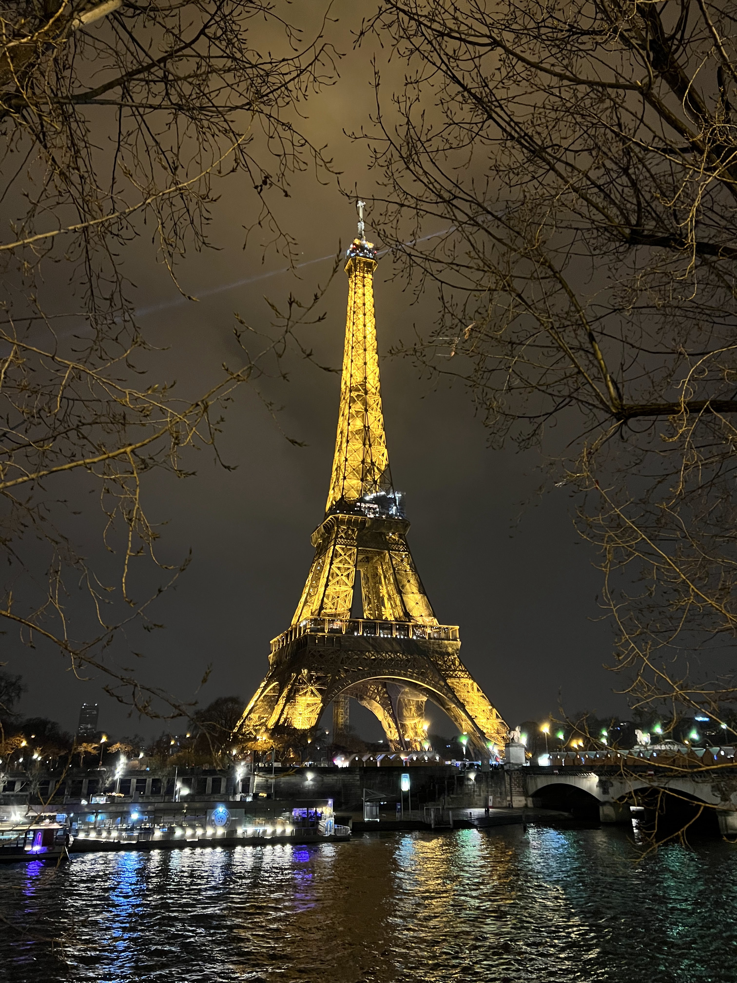 Eiffel Tower | top picks things to do in Paris 