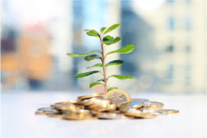 money growing trees money growing trees