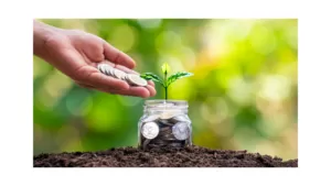 money growing money growing