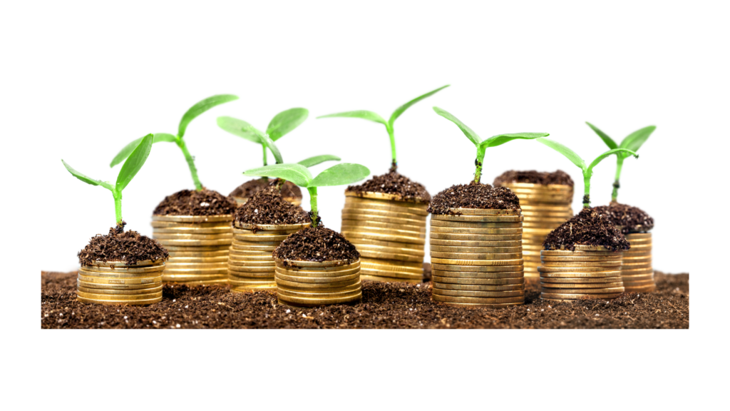 growing money like trees compound interest